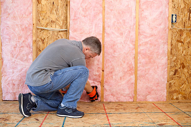 Best Garage Insulation Installation  in Poinciana, FL