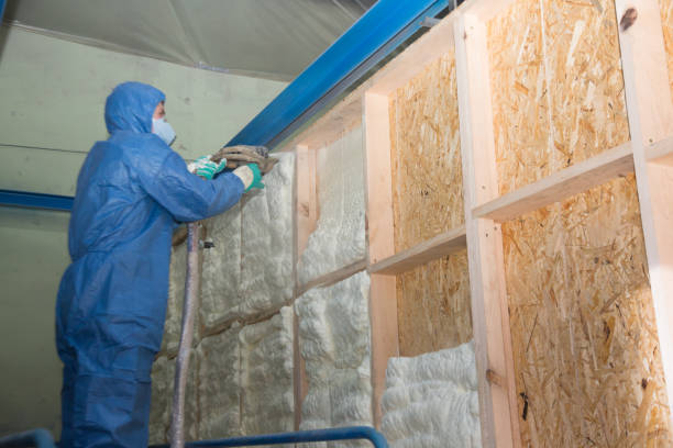 Best Insulation Removal  in Poinciana, FL