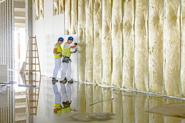 Best Professional Insulation Contractor  in Poinciana, FL